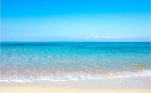 【海洋葬】の画像