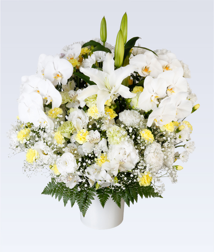 洋生花