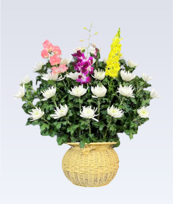 生花