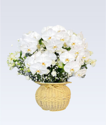 生花