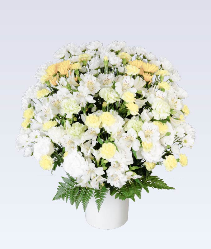 洋生花